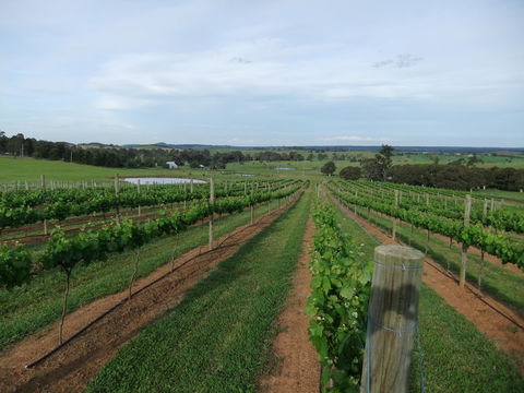Razorback, Cawdor, Camden Park - Accommodation Fremantle 0