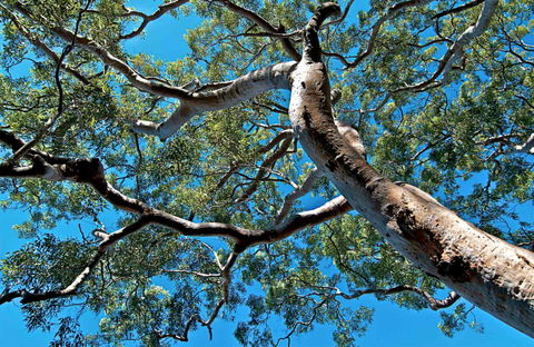 Ridge Walking Track - Accommodation Fremantle 0