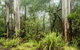 Rosewood Loop - thumb 0