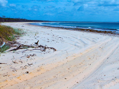 Shark Bay - Accommodation Fremantle 1