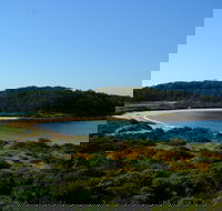 Snorkelling Broulee Island - Accommodation Fremantle