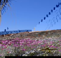 Talgomine Reserve - Accommodation Fremantle