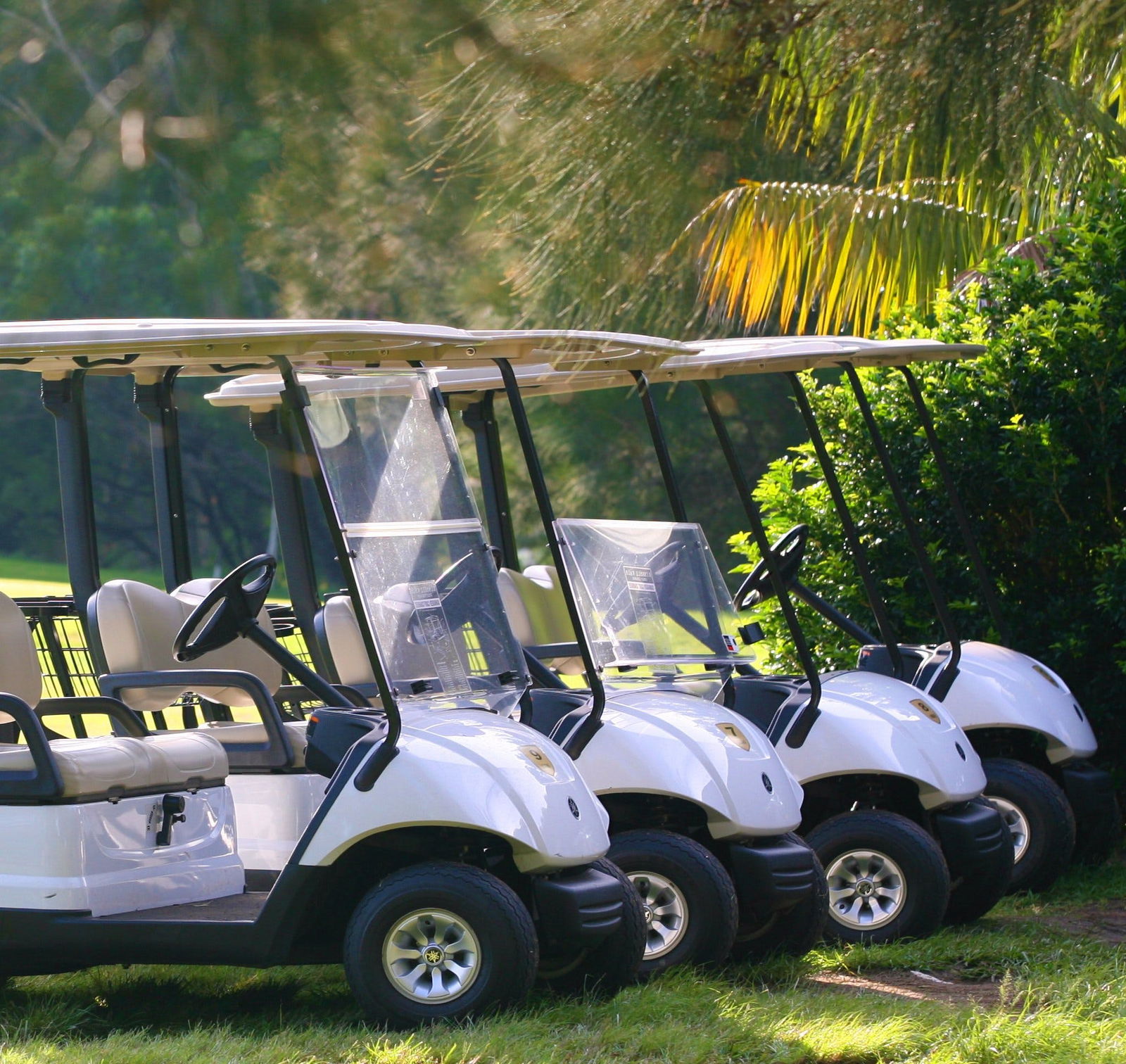 Russell Vale NSW Accommodation Fremantle