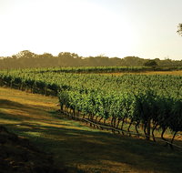 The South West Nature and Wine Drive - Accommodation Fremantle
