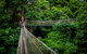 Thunderbird Park ® - Tamborine Mountain, Gold Coast Region - thumb 0
