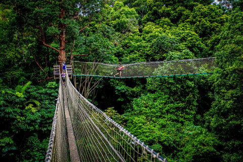 Thunderbird Park ® - Tamborine Mountain, Gold Coast Region - Accommodation Fremantle 0