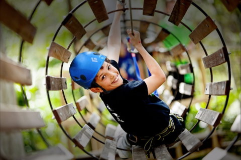 Thunderbird Park ® - Tamborine Mountain, Gold Coast Region - Accommodation Fremantle 1