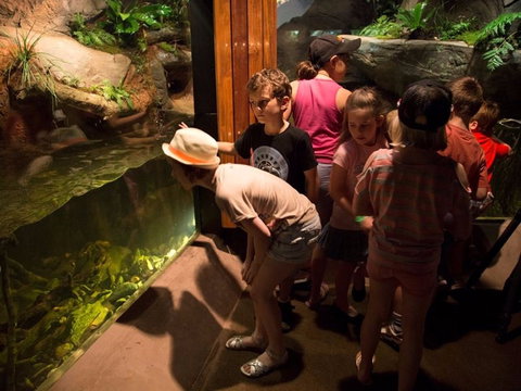 Walkabout Creek Discovery Centre - Accommodation Fremantle 2