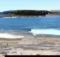 Wasp Head Picnic Area - Accommodation Fremantle