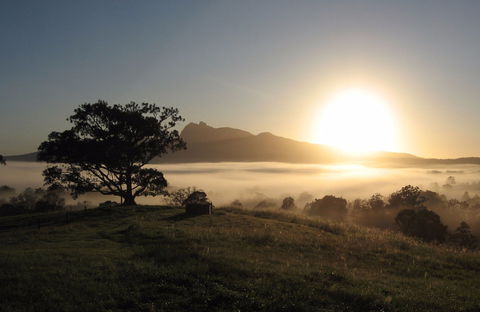 Wollumbin-Mount Warning National Park - Accommodation Fremantle 0