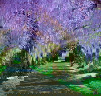 Alowyn Gardens and Nursery - Accommodation Fremantle