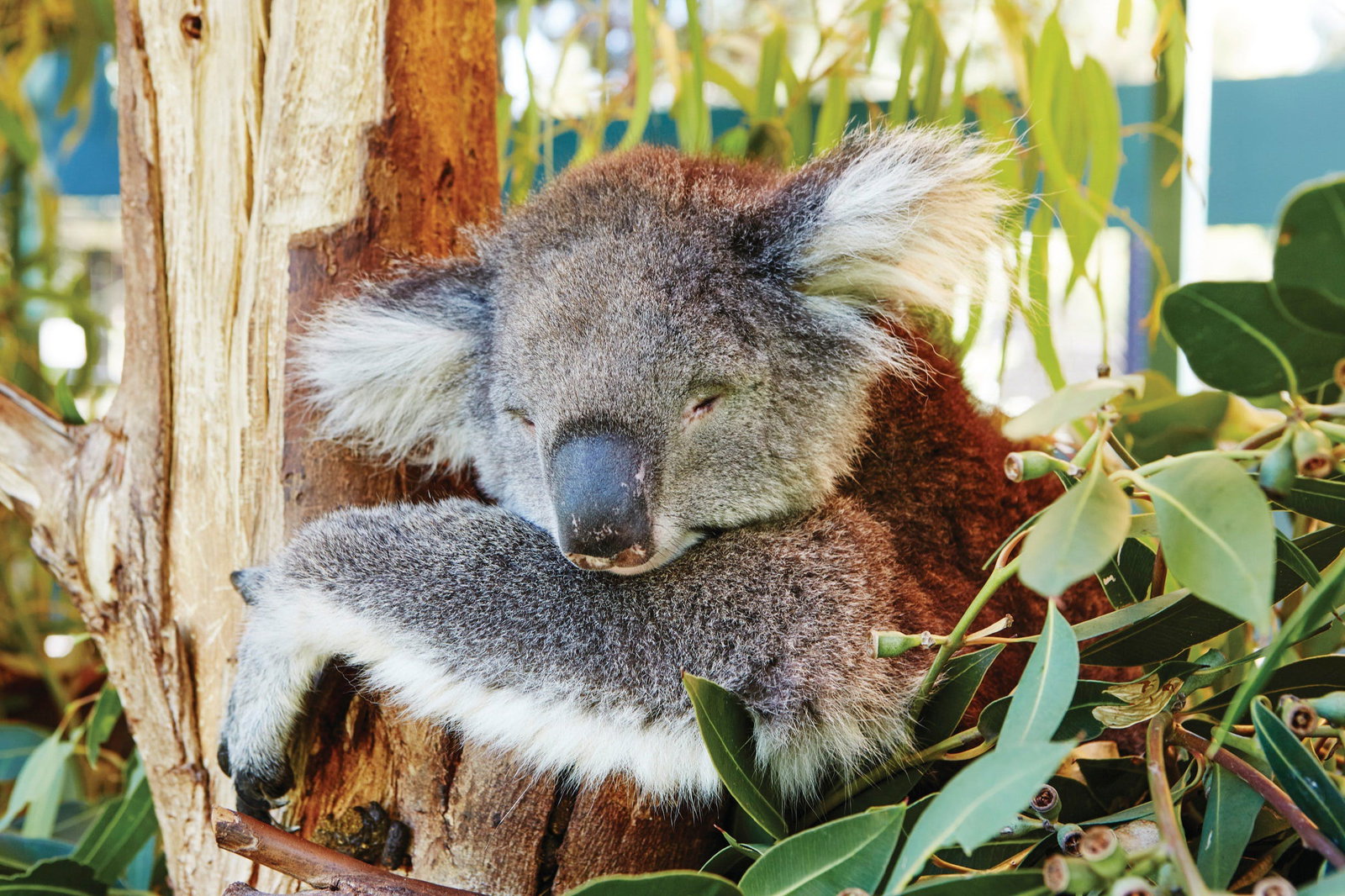 Itineraries Macgregor ACT Accommodation Fremantle