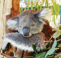 Animals and Family Fun - Accommodation Fremantle