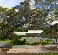 Back Creek picnic area - Accommodation Fremantle
