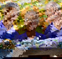 Bella Lavender Estate - Accommodation Fremantle