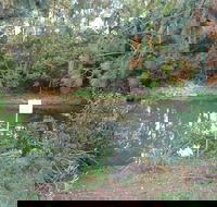 Birdwing Butterfly Walk - Accommodation Fremantle