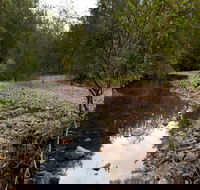 Budawang National Park - Accommodation Fremantle