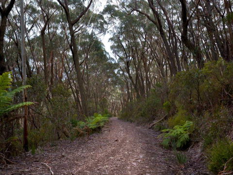 Budawang National Park - Accommodation Fremantle 1
