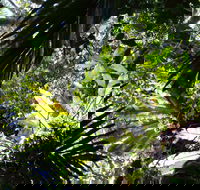 Byrrill Creek Walking Track - Accommodation Fremantle