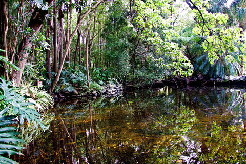 Cascade Gardens - Accommodation Fremantle 2