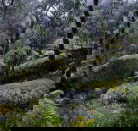 Cathedral Rock Track - Accommodation Fremantle