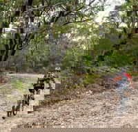 Cawleys Road trail - Accommodation Fremantle