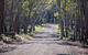 Coolah Tops National Park - thumb 0