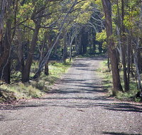Coolah Tops National Park