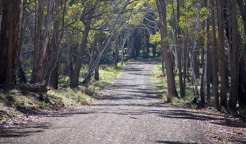 Coolah Tops National Park - Accommodation Fremantle 0