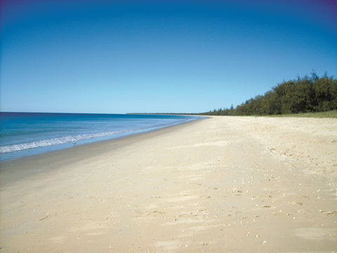 Coral Coast Pathways (Woodgate Beach Section) - Accommodation Fremantle 0