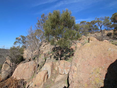 Eldorado And The Woolshed Valley - Accommodation Fremantle 2