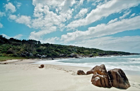 Fishermans Bay Foreshore - Accommodation Fremantle 0
