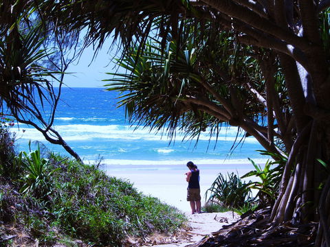 Frazers Reef - Accommodation Fremantle 0