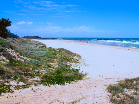 Frazers Reef - Accommodation Fremantle 1