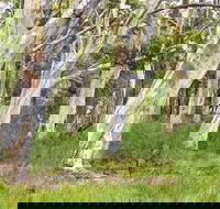Freshwater track - Accommodation Fremantle
