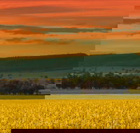 Galore Hill Scenic Reserve - Accommodation Fremantle