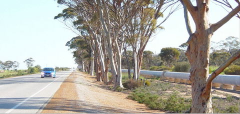 Golden Pipeline Heritage Trail - Accommodation Fremantle 0