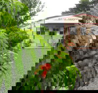 Gully Gardens - Accommodation Fremantle