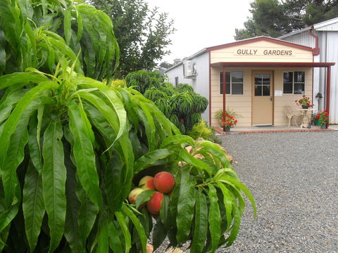Gully Gardens - Accommodation Fremantle 0