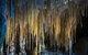 Hastings Caves And Thermal Springs - thumb 0