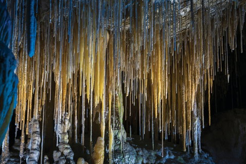 Hastings Caves And Thermal Springs - Accommodation Fremantle 0