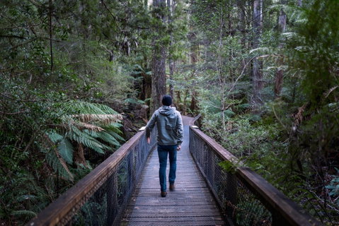 Hastings Caves And Thermal Springs - Accommodation Fremantle 1