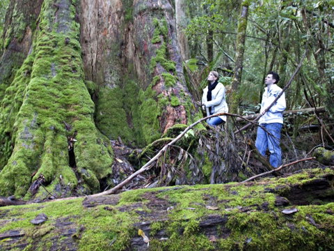 Hastings Caves And Thermal Springs - Accommodation Fremantle 2