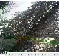 Henty Government Dam Nature Reserve - Accommodation Fremantle
