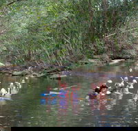 Kerewong State Forest - Accommodation Fremantle