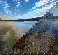 Lake Innes Nature Reserve - Accommodation Fremantle