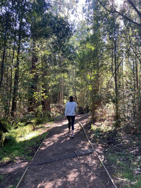 Lyrebird Circuit Walk - Accommodation Fremantle 0