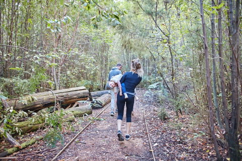 Lyrebird Circuit Walk - Accommodation Fremantle 1