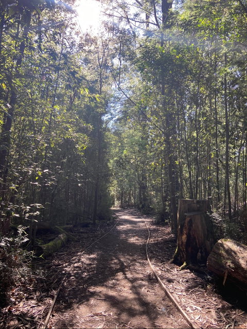 Lyrebird Circuit Walk - Accommodation Fremantle 2