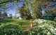 Miss Traill’s House And Garden - thumb 1